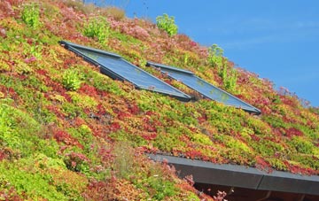Stockley living roof systems